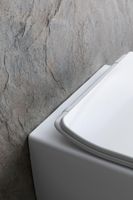 Унитаз Allen Brau Liberty 2 4.33007.21 подвесной Белый матовый без сиденья — фото 52, Подвесные унитазы