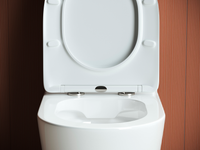 Напольный пристенный унитаз Highlight Rimless — фото 3, Напольные унитазы