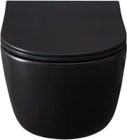 Унитаз Allen Brau Priority 4.31002.31 подвесной Черный матовый без сиденья — фото 2, Подвесные унитазы