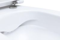 Унитаз Allen Brau Fantasy 4.11007.20 приставной Белый без сиденья — фото 7, Приставные унитазы