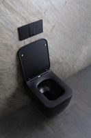 Унитаз Allen Brau Liberty 2 4.33007.31 подвесной Черный матовый без сиденья — фото 32, Подвесные унитазы