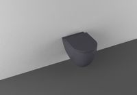 Унитаз Allen Brau Reality 4.32006.AN подвесной Антрацит без сиденья — фото 2, Подвесные унитазы