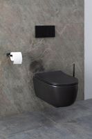 Унитаз Allen Brau Priority 4.31002.31 подвесной Черный матовый без сиденья — фото 29, Подвесные унитазы