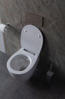 Товар: Унитаз биде Allen Brau Fantasy 4.11HC1.20 подвесной Белый без сиденья - фото 35 Унитаз биде Allen Brau Fantasy 4.11HC1.20 подвесной Белый без сиденья — фото 35, Подвесные унитазы