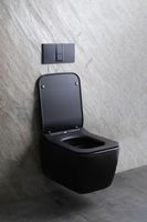 Унитаз Allen Brau Liberty 2 4.33007.31 подвесной Черный матовый без сиденья — фото 35, Подвесные унитазы