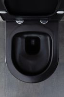 Унитаз Allen Brau Priority 4.31002.31 подвесной Черный матовый без сиденья — фото 41, Подвесные унитазы