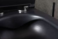 Унитаз Allen Brau Reality 4.32006.31 подвесной Черный матовый без сиденья — фото 17, Подвесные унитазы