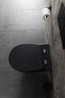 Унитаз Allen Brau Reality 4.32006.31 подвесной Черный матовый без сиденья — фото 23, Подвесные унитазы