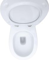 Унитаз Allen Brau Fantasy 4.11007.20 приставной Белый без сиденья — фото 10, Приставные унитазы