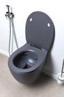 Унитаз Allen Brau Fantasy 4.11004.AN подвесной Антрацит без сиденья — фото 28, Подвесные унитазы