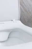 Унитаз Allen Brau Liberty 2 4.33007.21 подвесной Белый матовый без сиденья — фото 46, Подвесные унитазы