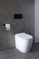 Унитаз Allen Brau Fantasy 4.11007.20 приставной Белый без сиденья — фото 28, Приставные унитазы