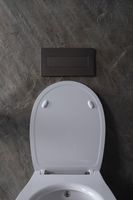 Товар: Унитаз биде Allen Brau Fantasy 4.11HC1.20 подвесной Белый без сиденья - фото 41 Унитаз биде Allen Brau Fantasy 4.11HC1.20 подвесной Белый без сиденья — фото 41, Подвесные унитазы