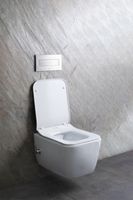 Унитаз биде Allen Brau Liberty 2 4.33009.20 подвесной Белый без сиденья — фото 38, Подвесные унитазы