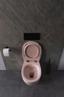 Товар: Унитаз Allen Brau Fantasy 4.11004.SM подвесной Розовый без сиденья - фото 29 Унитаз Allen Brau Fantasy 4.11004.SM подвесной Розовый без сиденья — фото 29, Подвесные унитазы