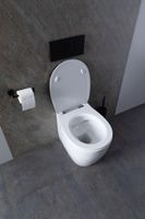 Унитаз Allen Brau Fantasy 4.11007.20 приставной Белый без сиденья — фото 40, Приставные унитазы