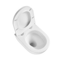 Унитаз подвесной Terminus Аврора (Торнадо 3.0) 01WM49x36W, белый — фото 7, Подвесные унитазы