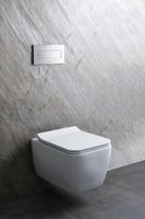 Унитаз Allen Brau Liberty 2 4.33007.20 подвесной Белый без сиденья — фото 36, Подвесные унитазы