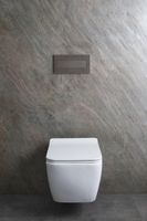 Унитаз биде Allen Brau Liberty 2 4.33009.20 подвесной Белый без сиденья — фото 35, Подвесные унитазы