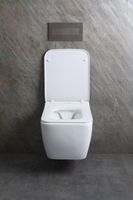 Унитаз Allen Brau Liberty 2 4.33007.21 подвесной Белый матовый без сиденья — фото 37, Подвесные унитазы