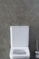 Товар: Бачок для унитаза Allen Brau Priority/Infinity белый глянец арт-4.XX000.20 - фото 7 Бачок для унитаза Allen Brau Priority/Infinity белый глянец арт-4.XX000.20 — фото 7, Комплектующие для туалета