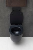 Крышка-сиденье для унитаза Allen Brau Fantasy Smartfix, Soft-Close черный матовый арт-4.11005.31 — фото 7, Сиденья для унитаза