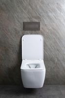 Унитаз Allen Brau Liberty 2 4.33007.20 подвесной Белый без сиденья — фото 38, Подвесные унитазы