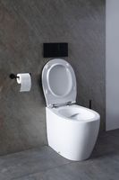 Унитаз Allen Brau Fantasy 4.11007.20 приставной Белый без сиденья — фото 45, Приставные унитазы