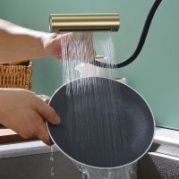 Смеситель для кухни с мультифункциональным изливом Splenka , золотой сатин арт-S206.49.03 — фото 7, Смесители для кухни