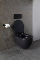 Унитаз Allen Brau Reality 4.32006.31 подвесной Черный матовый без сиденья — фото 27, Подвесные унитазы