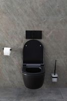 Унитаз Allen Brau Priority 4.31002.31 подвесной Черный матовый без сиденья — фото 38, Подвесные унитазы