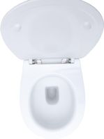 Унитаз Allen Brau Fantasy 4.11007.20 приставной Белый без сиденья — фото 11, Приставные унитазы