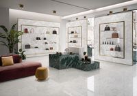 Керамогранит Emil Ceramica Tele Di Marmo Revolution Thassos Naturale 60х120 см арт-EHAZ — фото 9, Керамогранит