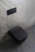 Унитаз Allen Brau Liberty 2 4.33007.31 подвесной Черный матовый без сиденья — фото 34, Подвесные унитазы