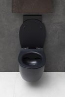 Товар: Унитаз Allen Brau Fantasy 4.11004.31 подвесной Черный матовый без сиденья - фото 28 Унитаз Allen Brau Fantasy 4.11004.31 подвесной Черный матовый без сиденья — фото 28, Подвесные унитазы