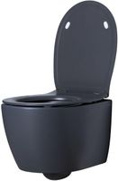 Унитаз Allen Brau Fantasy 4.11004.AN подвесной Антрацит без сиденья — фото 20, Подвесные унитазы