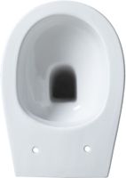 Унитаз Allen Brau Fantasy 4.11007.20 приставной Белый без сиденья — фото 23, Приставные унитазы