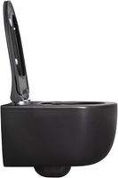 Унитаз Allen Brau Priority 4.31002.31 подвесной Черный матовый без сиденья — фото 19, Подвесные унитазы