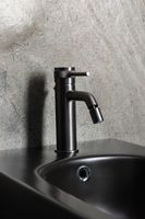 Смеситель для биде Allen Brau Priority Графит брашированный арт-5.31A04-MG — фото 8, Смесители для биде