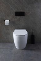 Унитаз Allen Brau Fantasy 4.11007.20 приставной Белый без сиденья — фото 34, Приставные унитазы