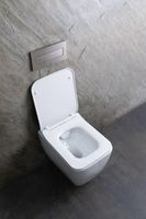 Унитаз Allen Brau Liberty 2 4.33007.20 подвесной Белый без сиденья — фото 55, Подвесные унитазы