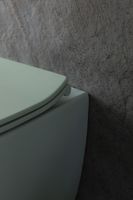 Товар: Унитаз Allen Brau Fantasy 4.11004.MT подвесной Мятный без сиденья - фото 32 Унитаз Allen Brau Fantasy 4.11004.MT подвесной Мятный без сиденья — фото 32, Подвесные унитазы