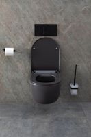 Товар: Унитаз Allen Brau Priority 4.31002.AN подвесной Антрацит без сиденья - фото 37 Унитаз Allen Brau Priority 4.31002.AN подвесной Антрацит без сиденья — фото 37, Подвесные унитазы