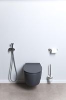 Унитаз Allen Brau Fantasy 4.11004.AN подвесной Антрацит без сиденья — фото 32, Подвесные унитазы