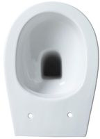 Унитаз Allen Brau Fantasy 4.11007.20 приставной Белый без сиденья — фото 20, Приставные унитазы