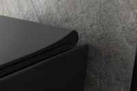 Товар: Унитаз Allen Brau Priority 4.31002.AN подвесной Антрацит без сиденья - фото 46 Унитаз Allen Brau Priority 4.31002.AN подвесной Антрацит без сиденья — фото 46, Подвесные унитазы