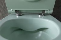 Товар: Унитаз Allen Brau Fantasy 4.11004.MT подвесной Мятный без сиденья - фото 30 Унитаз Allen Brau Fantasy 4.11004.MT подвесной Мятный без сиденья — фото 30, Подвесные унитазы