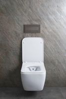 Унитаз биде Allen Brau Liberty 2 4.33009.20 подвесной Белый без сиденья — фото 33, Подвесные унитазы