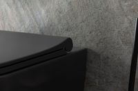 Товар: Унитаз Allen Brau Priority 4.31001.AN подвесной Антрацит без сиденья - фото 50 Унитаз Allen Brau Priority 4.31001.AN подвесной Антрацит без сиденья — фото 50, Подвесные унитазы