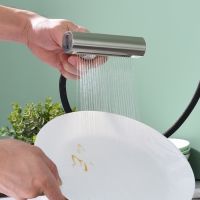 Смеситель для кухни с мультифункциональным изливом Splenka , сатин арт-S206.49.05 — фото 5, Смесители для кухни